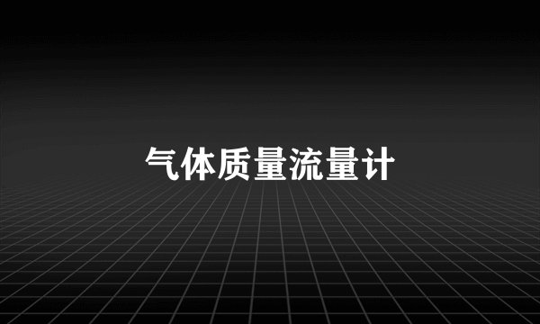 气体质量流量计