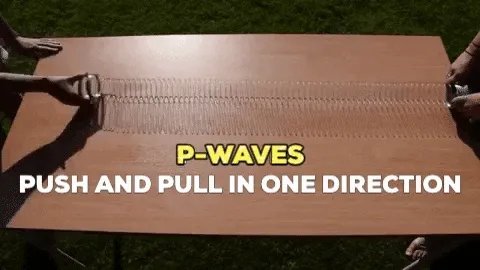 鱼跳上岸是什么征兆