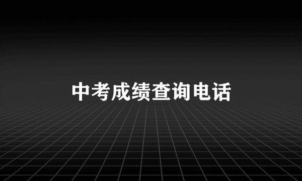中考成绩查询电话