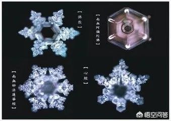 水知道答案是不是伪科学