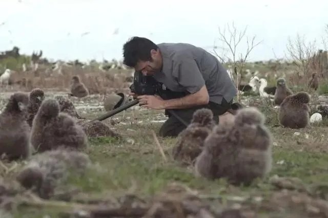 你扔的每一个塑料袋，都会回到你的餐桌上