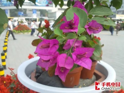 精彩在WO 年度WCDMA制式手机横向评测