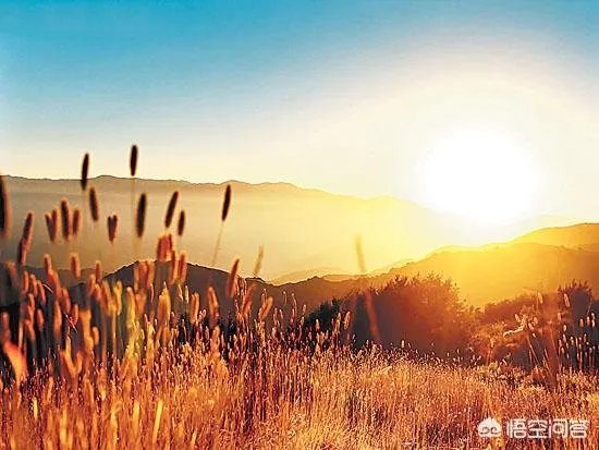 “谁和谁好”仿写句子？