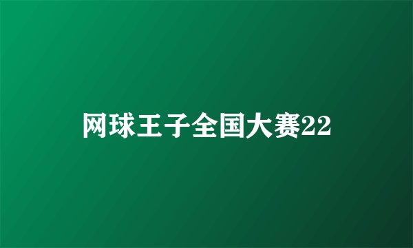 网球王子全国大赛22