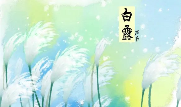 2021年9月7日是什么日子