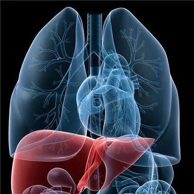 肝癌的早期症状图片集?