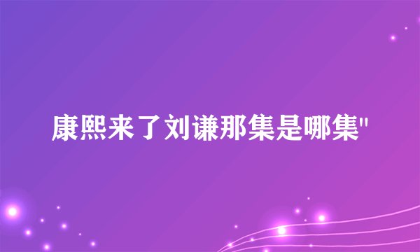 康熙来了刘谦那集是哪集
