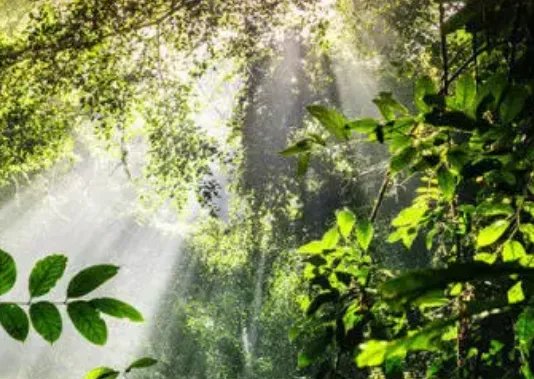 “气候危机纪元”已至？全球变暖史无前例，未来还需警惕哪些气候变化？