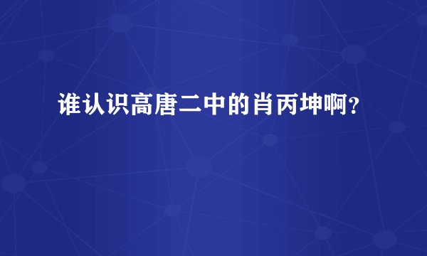 谁认识高唐二中的肖丙坤啊？