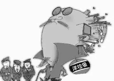 海关什么时候开始打击洋垃圾走私专项行动？