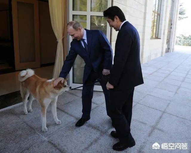 日本发表混乱外交蓝皮书