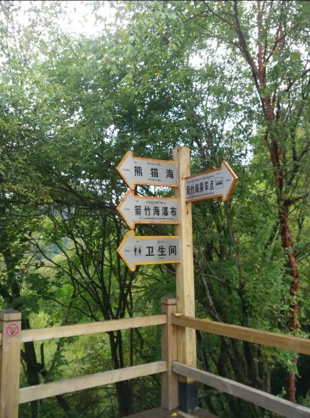 九寨沟地震过后又形成新的景点，你还会去吗？