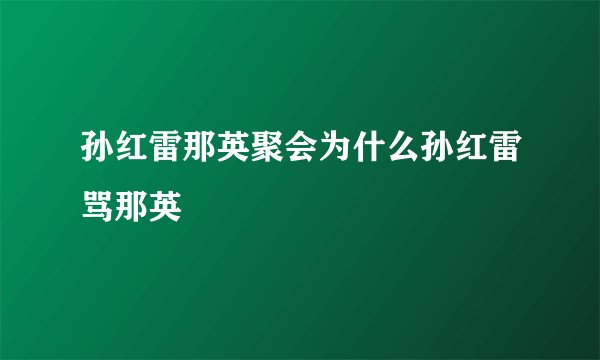 孙红雷那英聚会为什么孙红雷骂那英