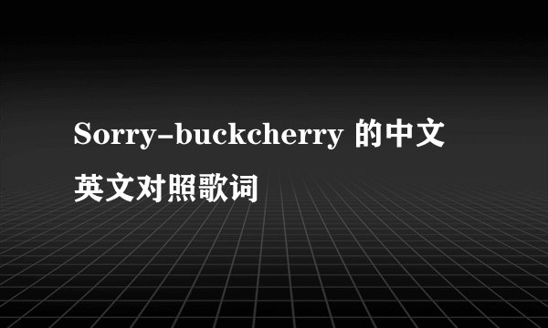Sorry-buckcherry 的中文 英文对照歌词