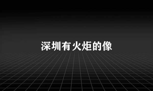 深圳有火炬的像