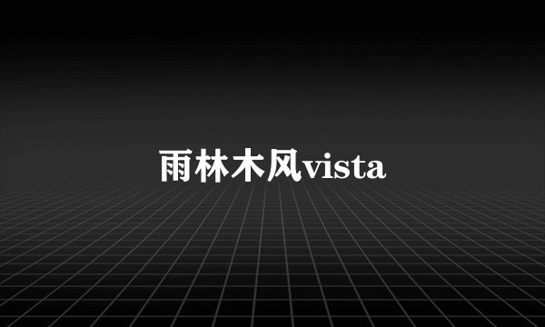 雨林木风vista