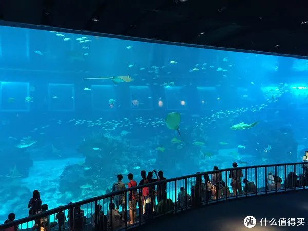 每日一景点 篇一百二十六：新加坡圣淘沙超详细攻略，沙滩、探险、机动游戏一网打尽！交通住宿景点攻略全都有！