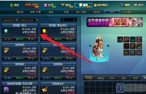 dnf宠物怎么获得