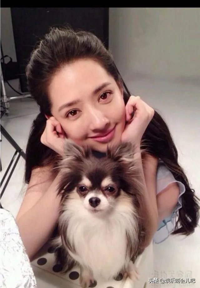 你知道哪些明星，在家养有什么样的宠物呢？