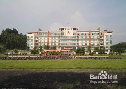 东方绿洲有什么好玩的