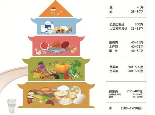 按照营养学角度说早餐、中餐、晚餐应该怎么吃才对？