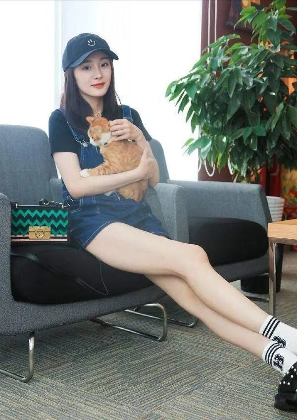 你知道哪些明星，在家养有什么样的宠物呢？