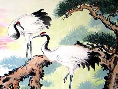 饲养员为什么打丹顶鹤？