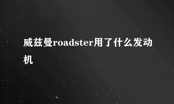 威兹曼roadster用了什么发动机