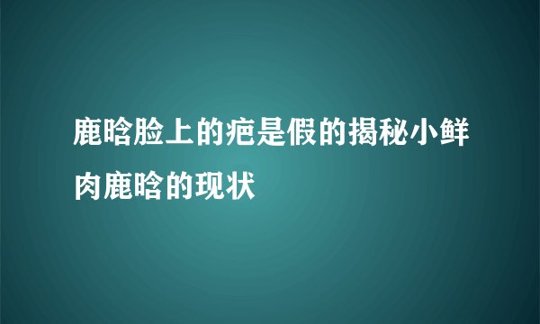 鹿晗脸上的疤是假的揭秘小鲜肉鹿晗的现状