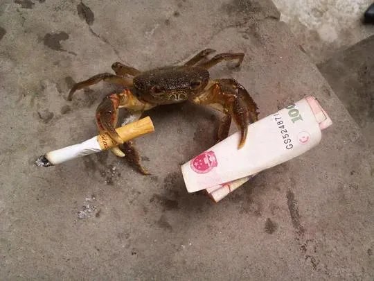 上联:戏演古今情，善恶忠奸收眼底，请对下联？