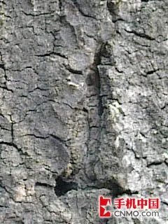 令人惊艳的的500万 诺基亚E72样张解析