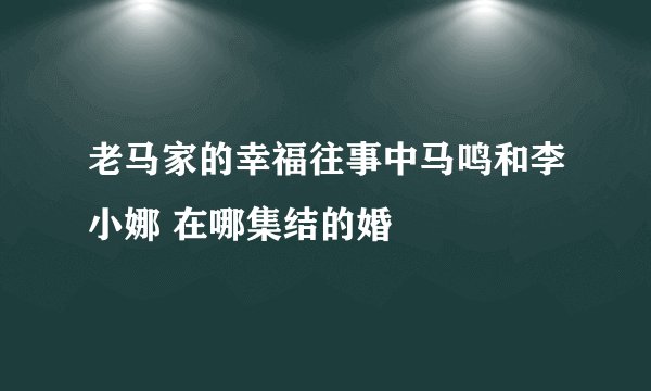 老马家的幸福往事中马鸣和李小娜 在哪集结的婚
