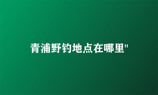 青浦野钓地点在哪里