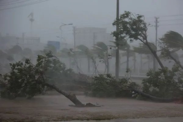 中国提出的台风名字都是什么？