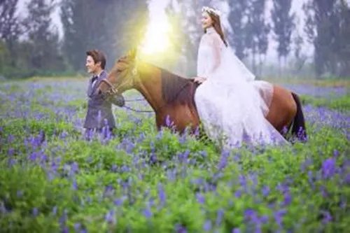 沈阳婚纱摄影排行榜 沈阳哪家婚纱摄影好