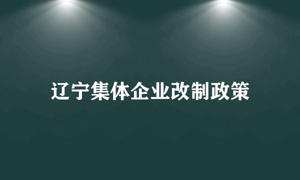 辽宁集体企业改制政策