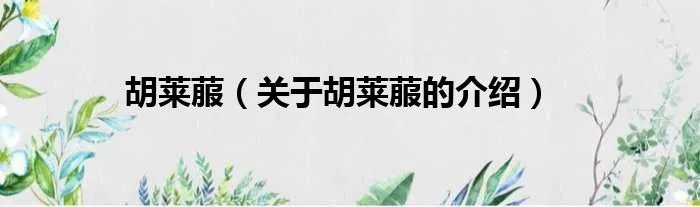 胡莱菔（关于胡莱菔的介绍）