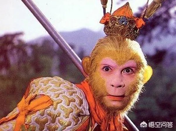 屁马 孙悟空