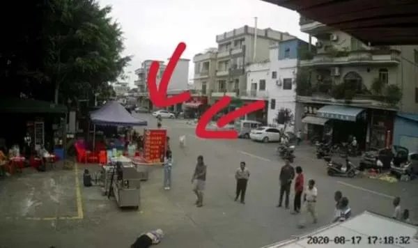 老人被狗绳绊倒摔地后身亡，整个过程是怎样的？