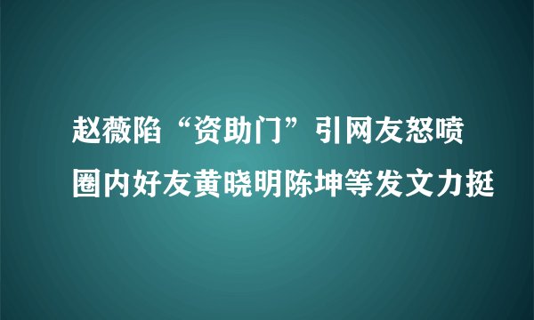 赵薇陷“资助门”引网友怒喷圈内好友黄晓明陈坤等发文力挺