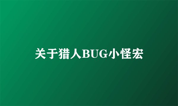 关于猎人BUG小怪宏