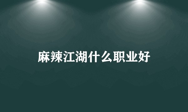 麻辣江湖什么职业好
