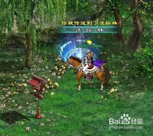 征途2迷踪林怎么走