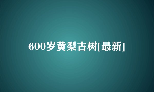 600岁黄梨古树[最新]