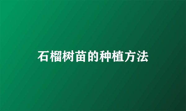 石榴树苗的种植方法