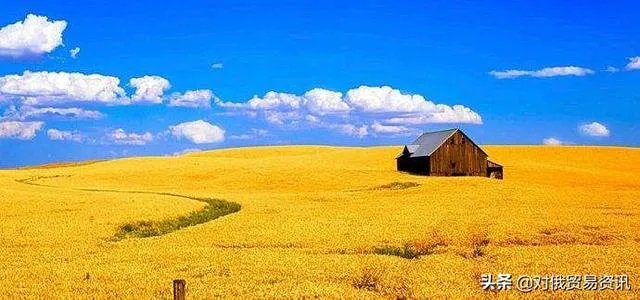 日增连续超5千，俄罗斯确诊近6万，死亡率全球最低。他们为什么开始囤粮食了？