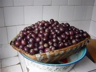 家庭自酿红葡萄酒