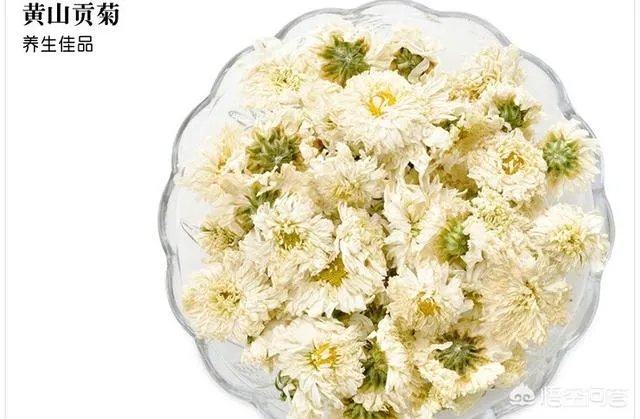 贡菊是白菊花吗？