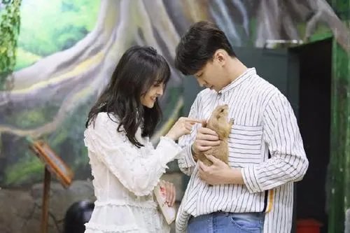 张恒情商遭质疑，敷衍态度令郑爽痛哭，男朋友求生欲为0该怎么办？