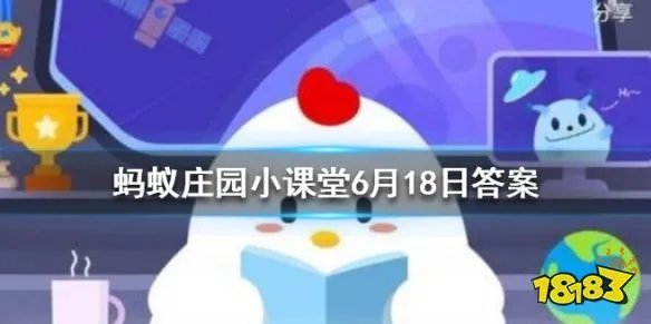 一般我们吃的零食西瓜子是夏天常吃的西瓜里的籽吗  蚂蚁庄园今日答案6月18日